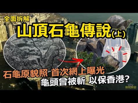 石龜風水|風水石龜：避兇納吉